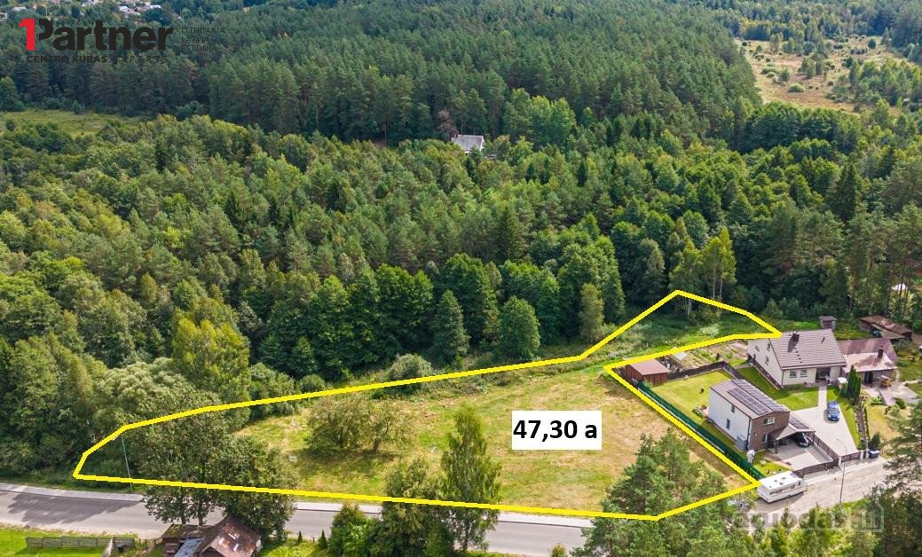 Vaizdingoje vietoje, miškų apsuptyje,