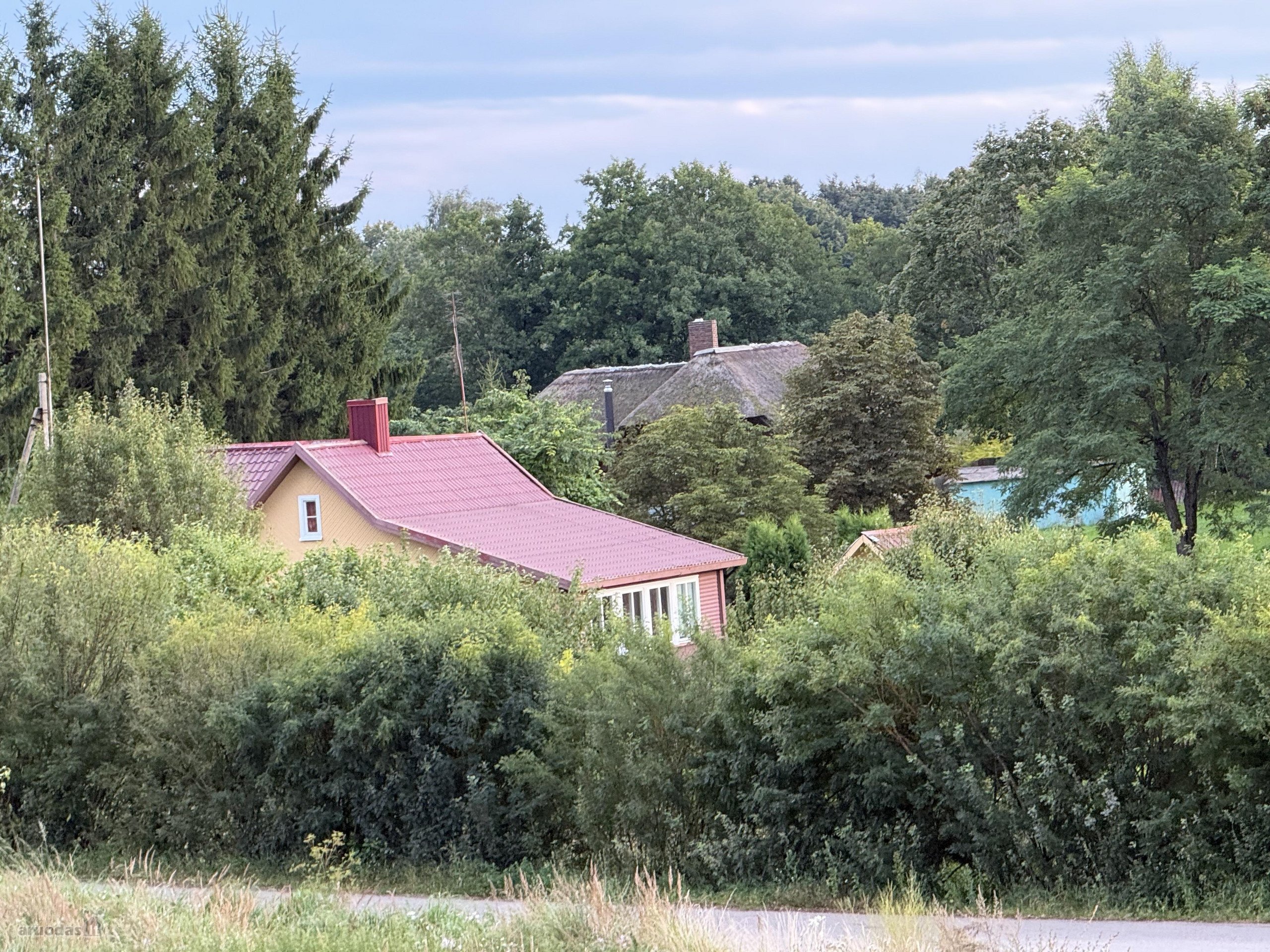 Parduodama sodyba su 6,25 ha sklypu ir