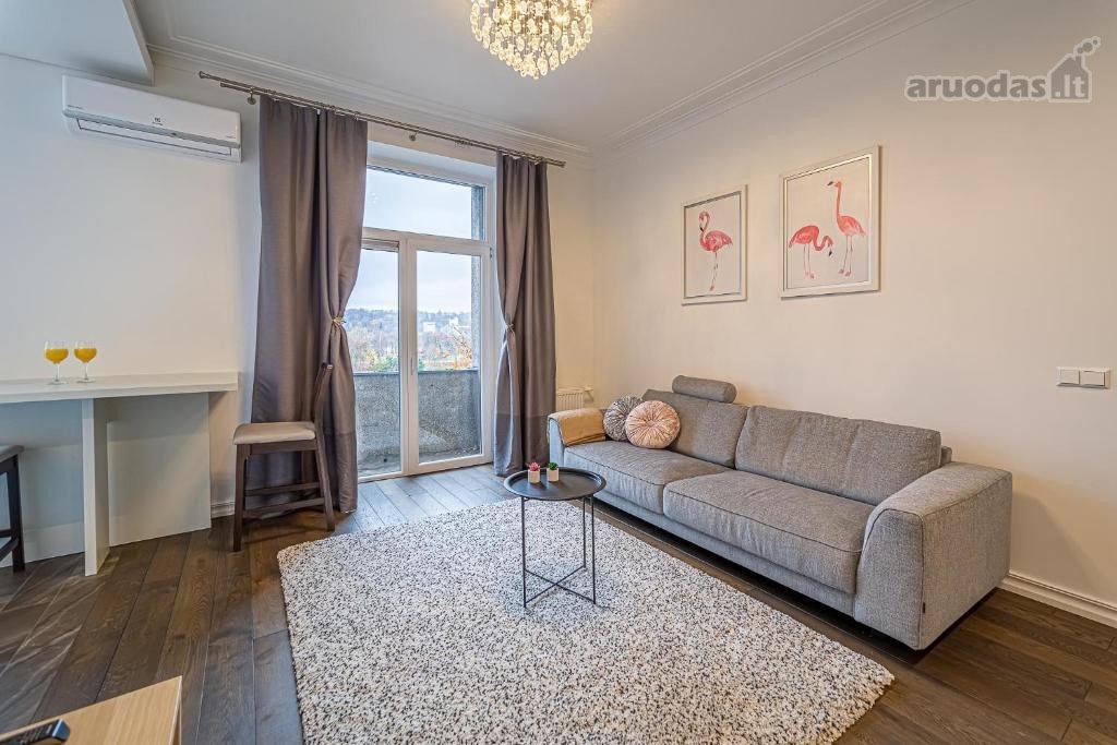 Nuomojamas labai šviesus, gerai prižiūrėtas