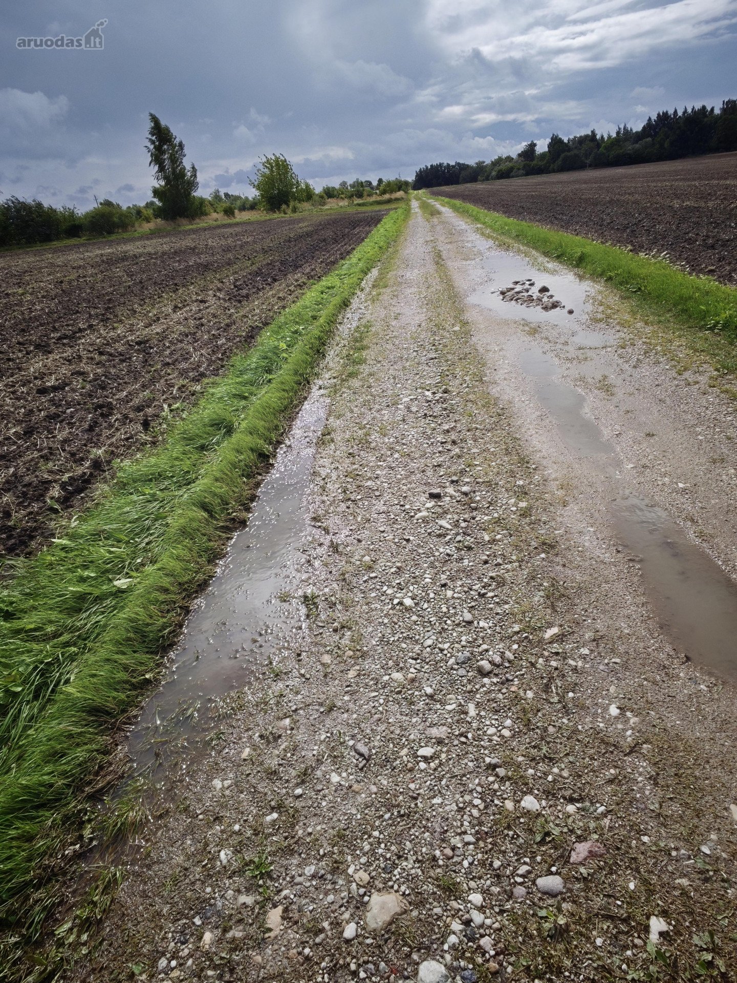 Parduodamas žemės sklypas Velželio k., Velžio sen.