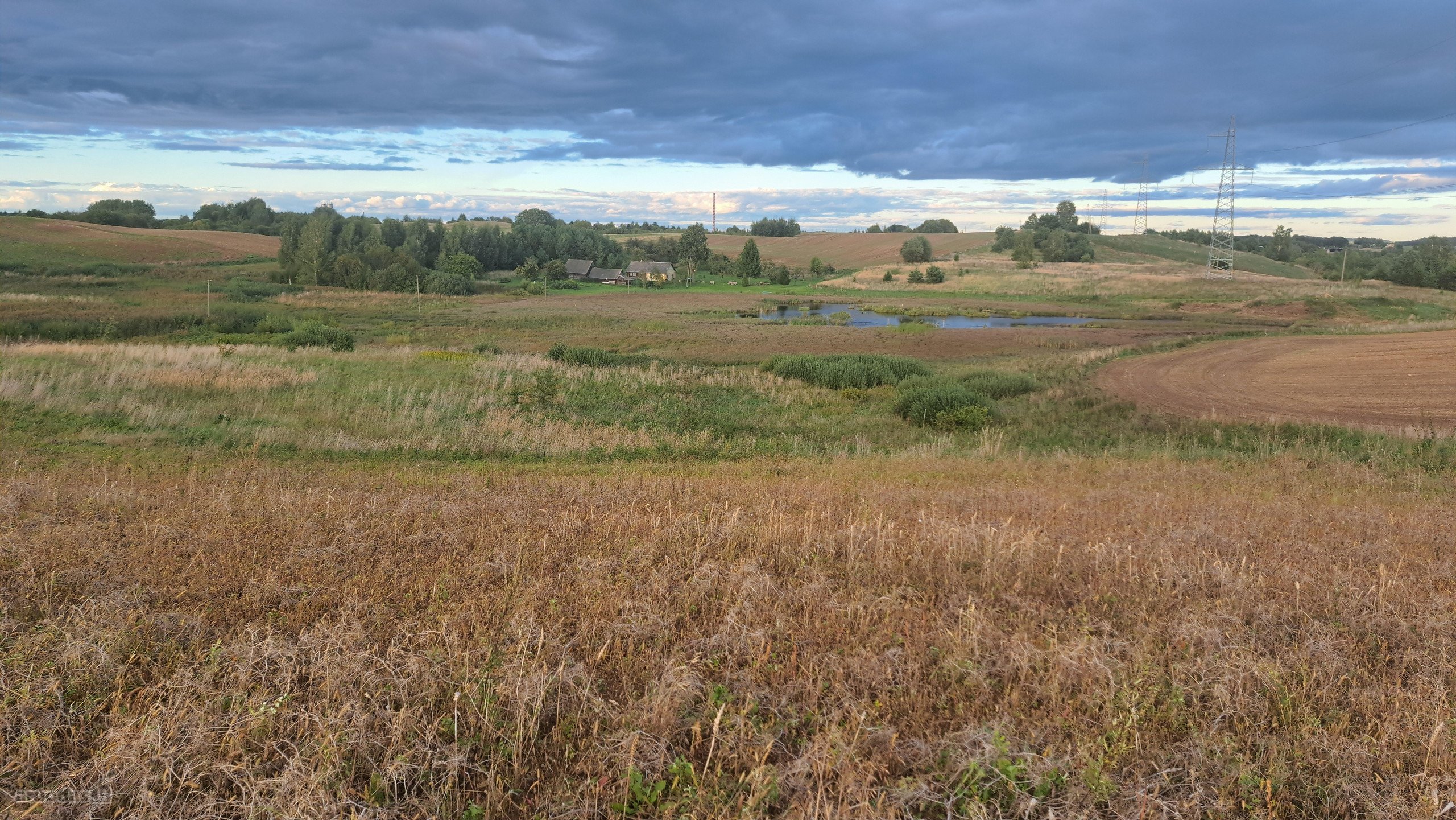 Parduodamas 5,90 ha žemės ūkio paskirties