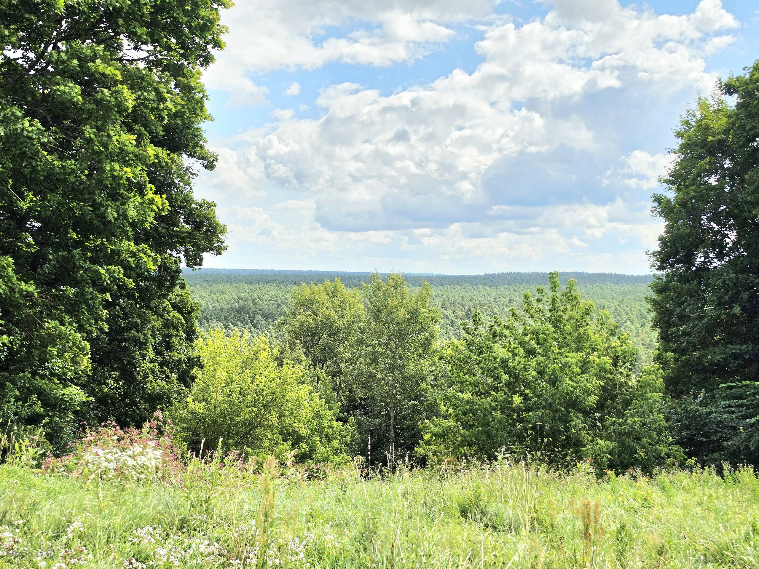 Žemės Sklypas Vilniaus R. Sav., Dūkštų Sen.,