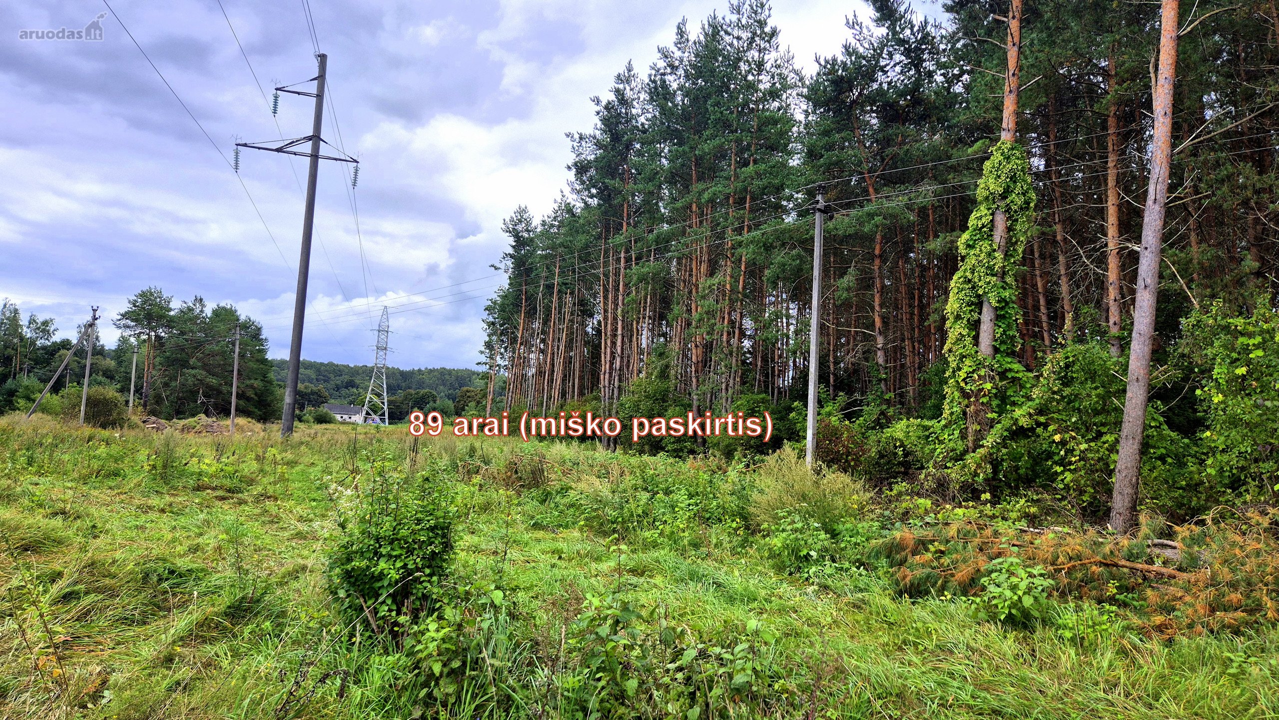Parduodamas miško ūkio paskirties 0,8912 ha