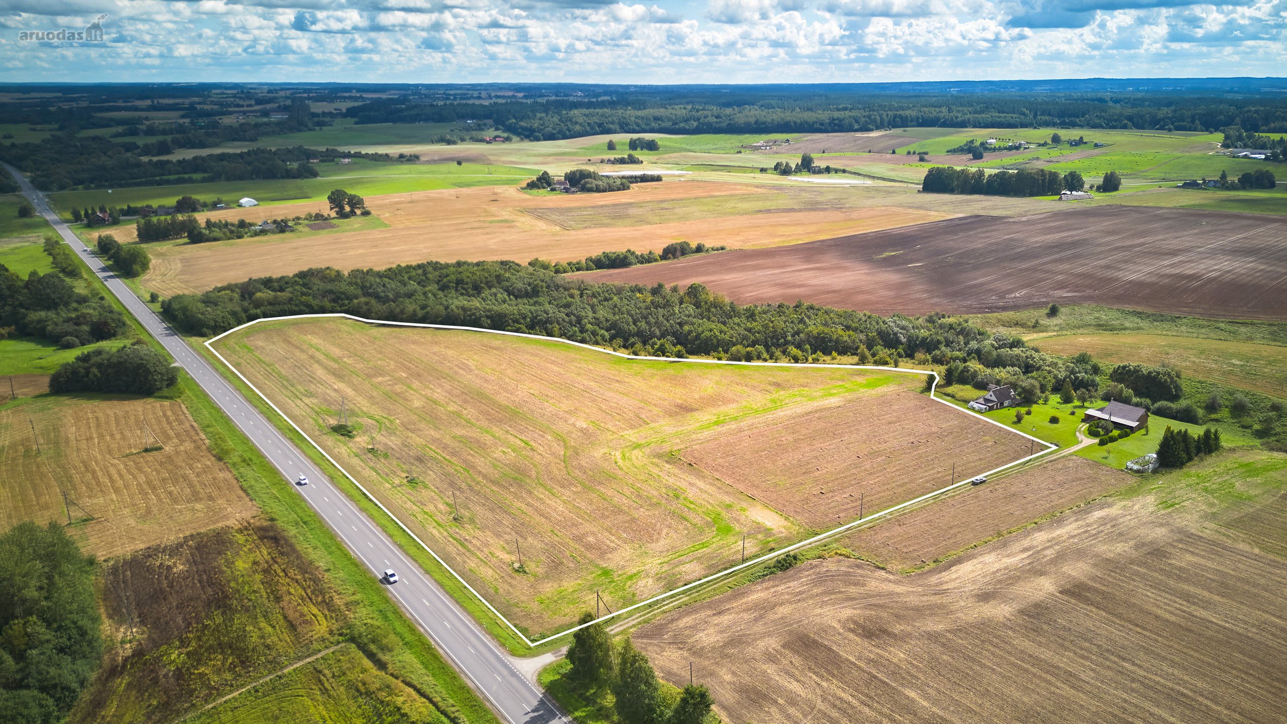 Išskirtinėje Vietoje, Šalia Kelio Vilnius