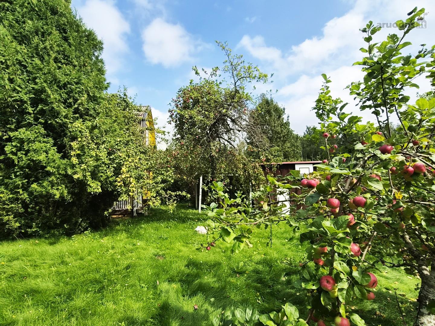 Kviečiu 18d Atvykti Į Atvirų Durų Dieną!