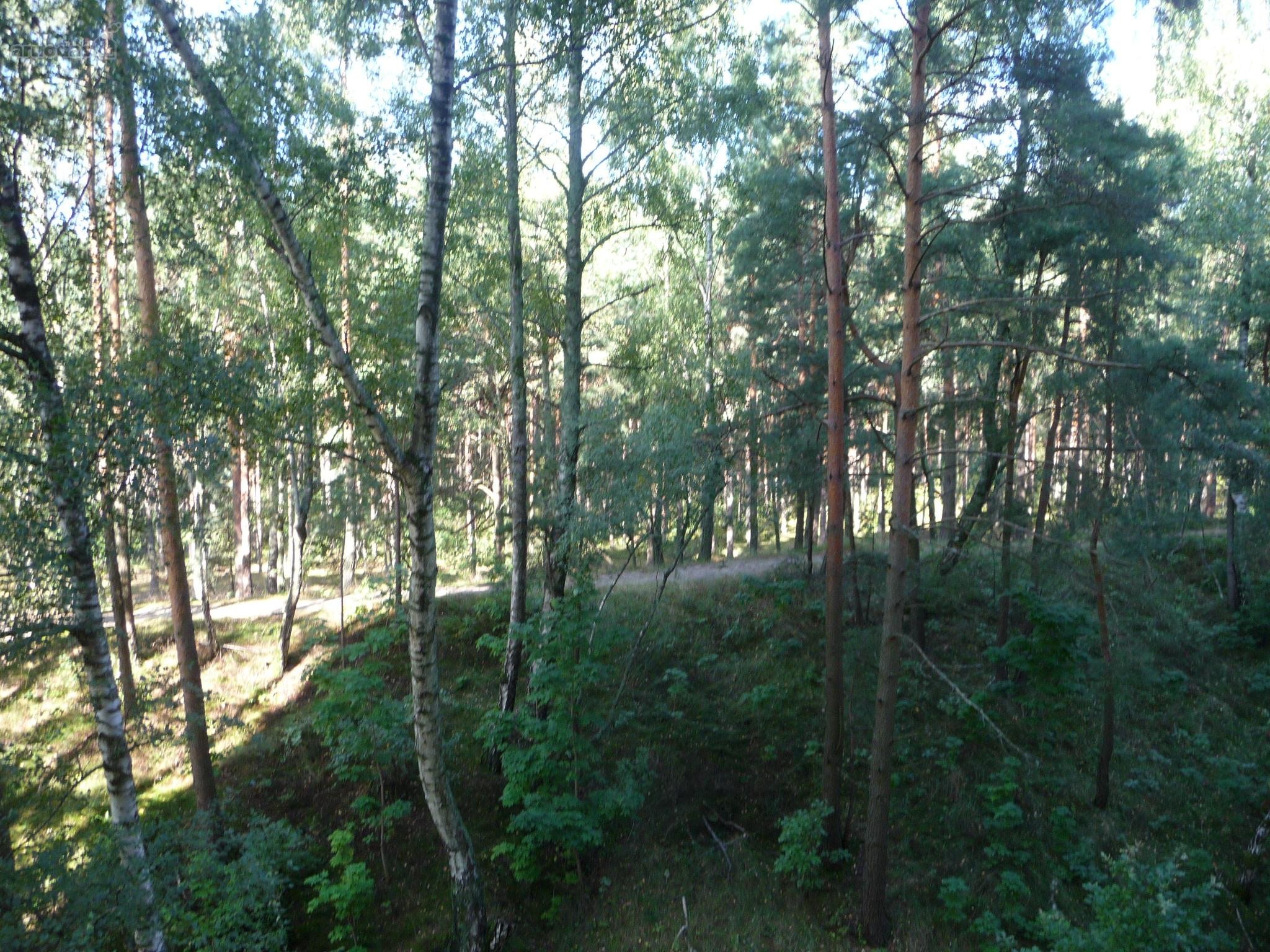 Išnuomojamas tvarkingas 3 kambarių butas su