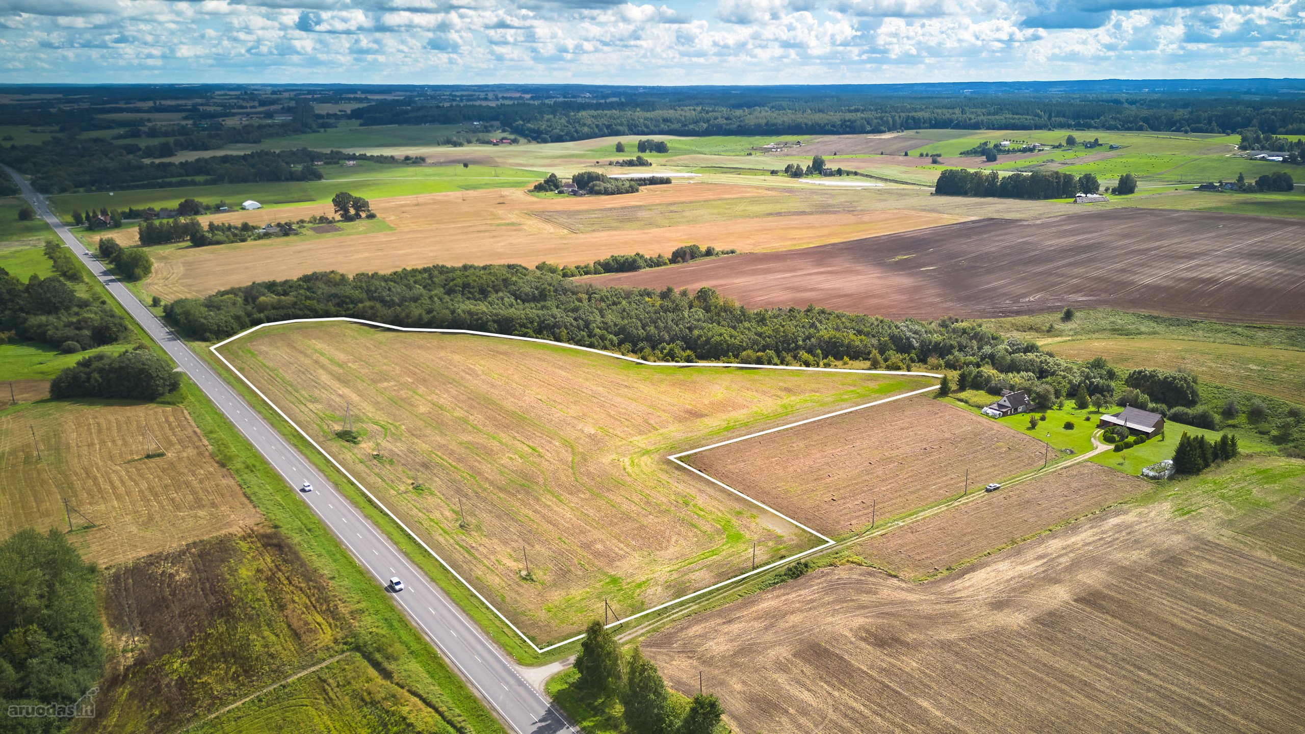Išskirtinėje Vietoje, Šalia Kelio Vilnius