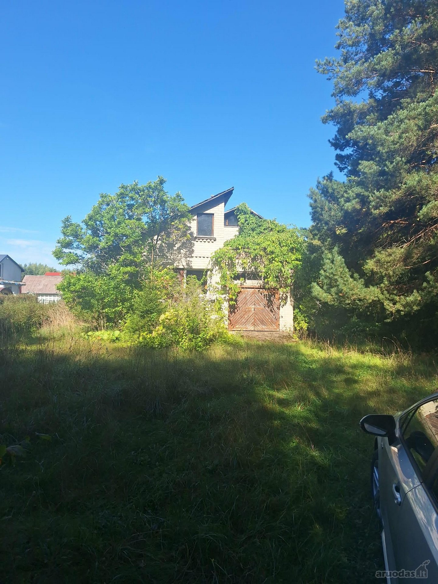 Šioje sodyboje rasite tai, apie ką svajoja