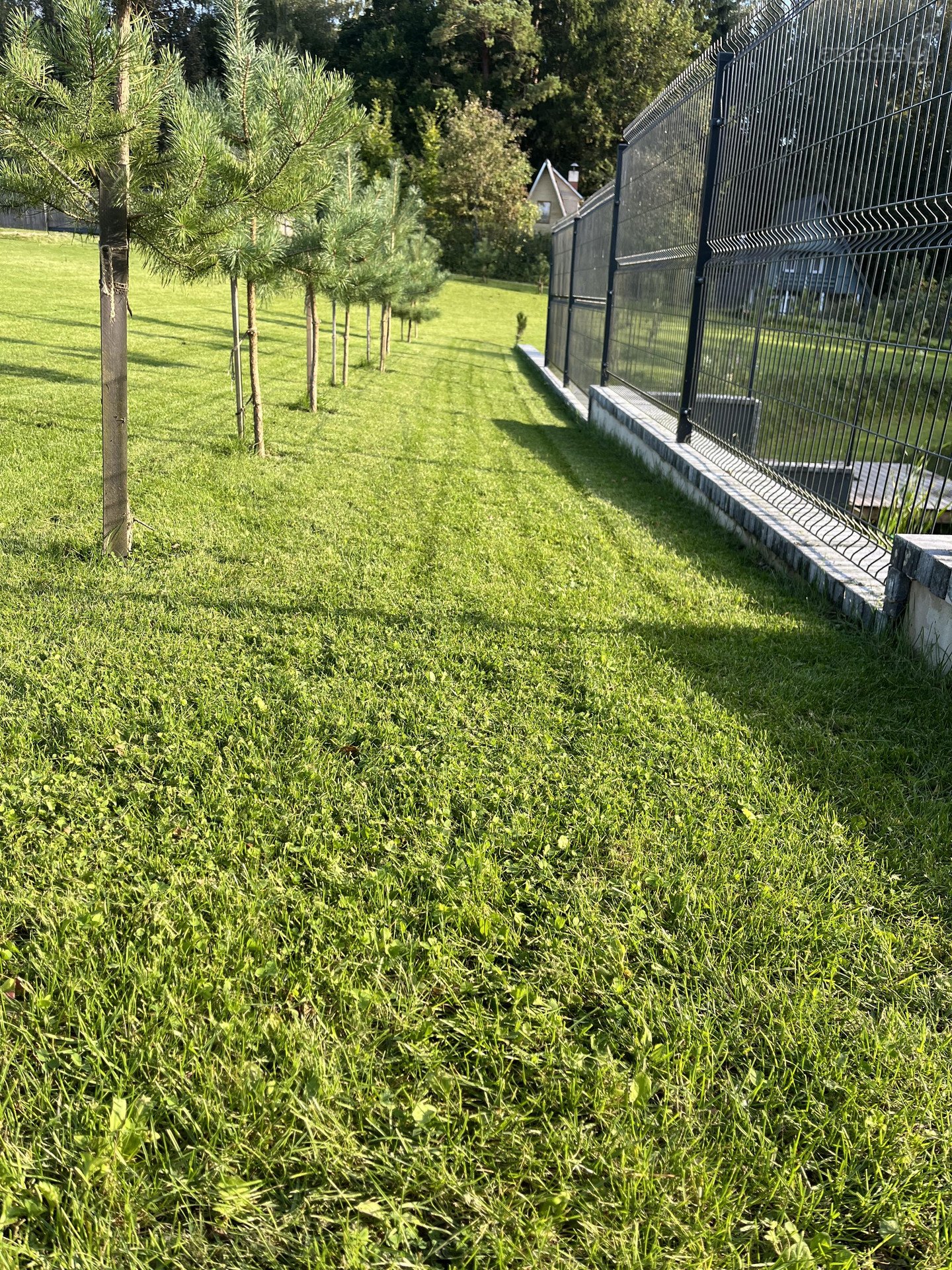 Parduodamas prižiuretas sklypas SB Nemunas,