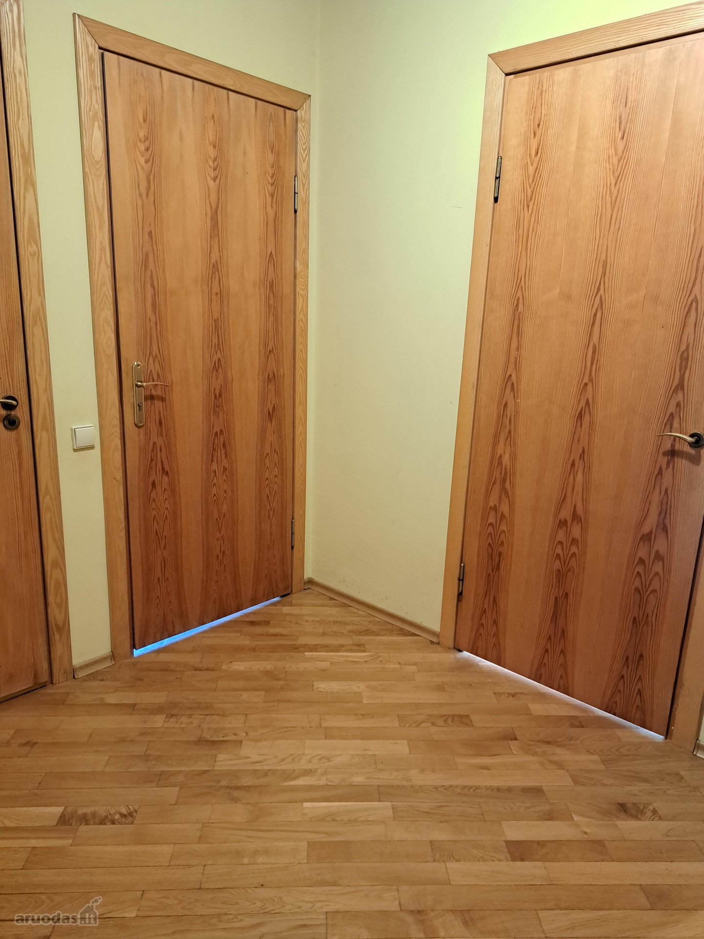 Ilgalaikei nuomai išnuomojama Aleksote