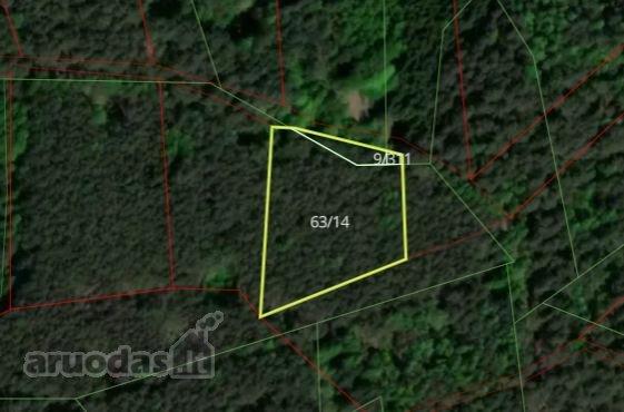 Parduodamas 0,56 ha miškas Molėtų raj.