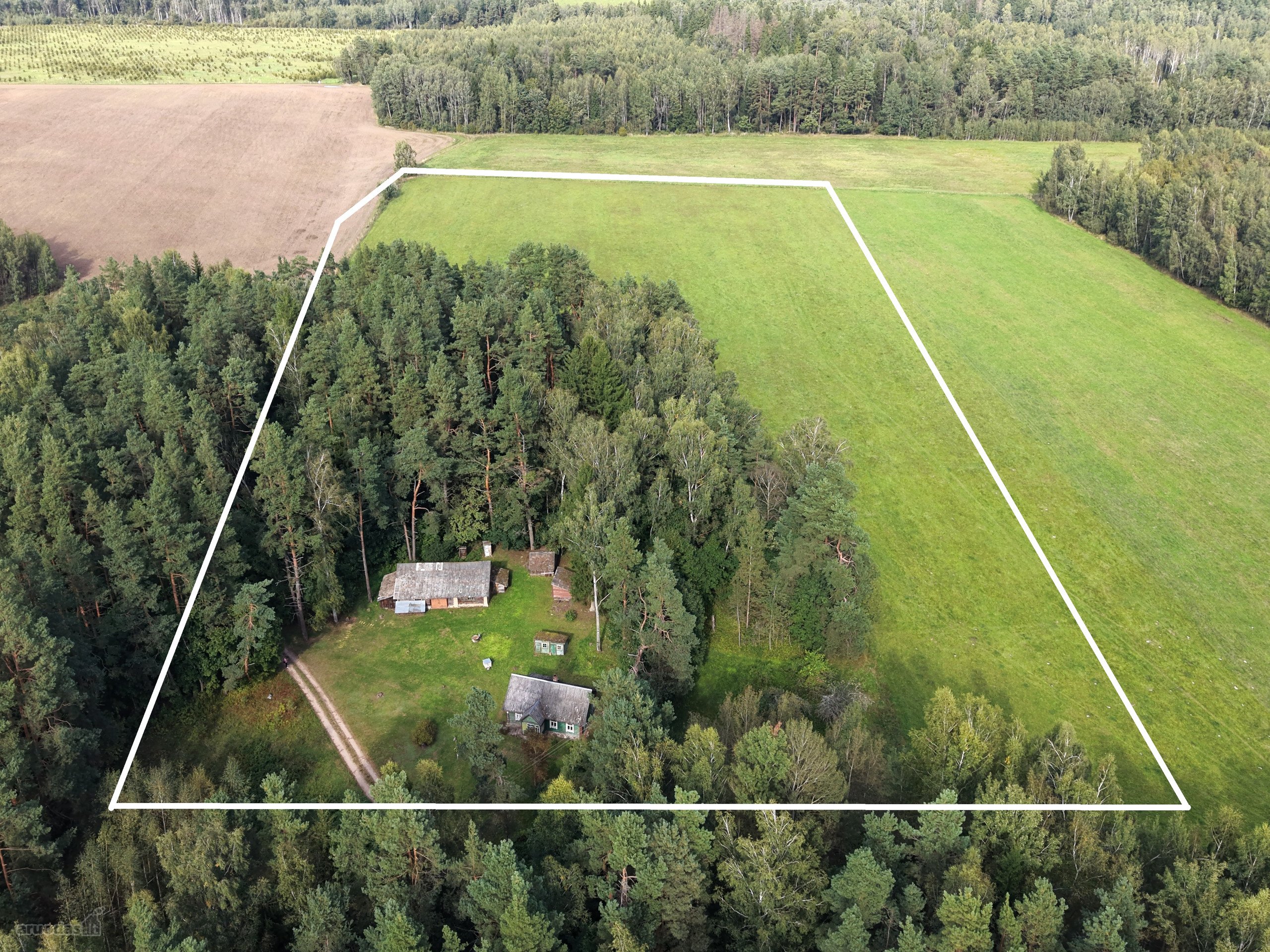 Autentiška Rąstinė Sodyba Miškų Apsuptyje –4
