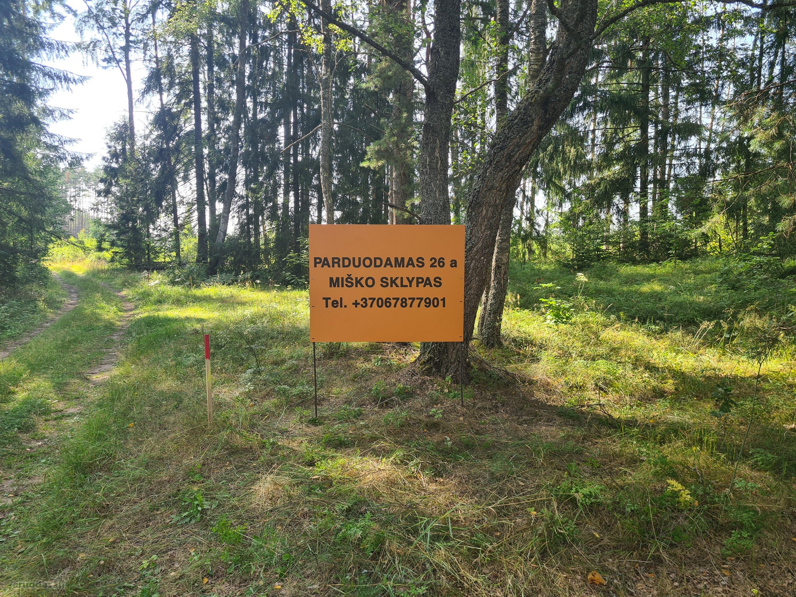 Parduodamas puikus miško sklypas Vilniaus r.