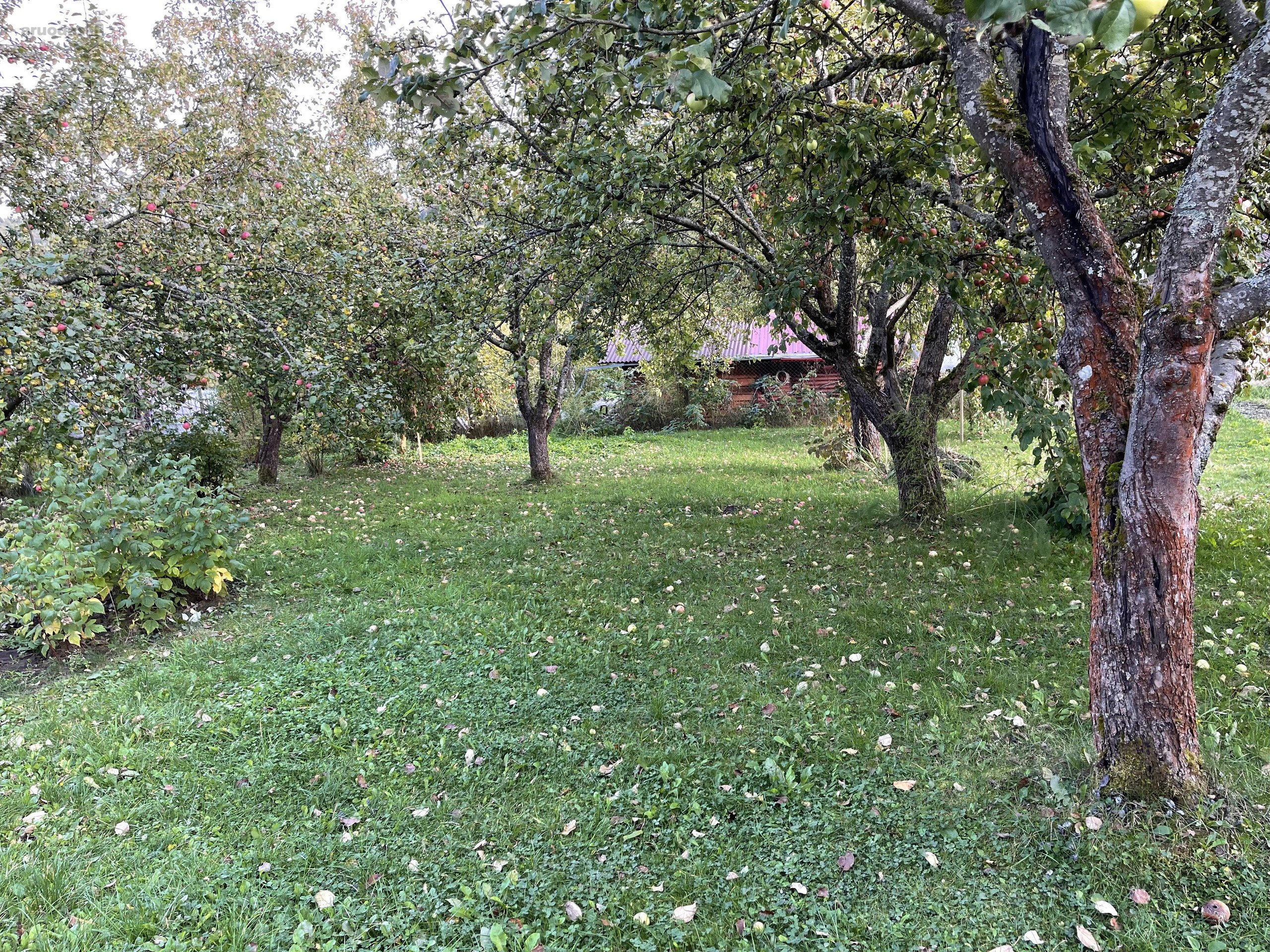 Be Tarpininkų Parduodamas 6 a. Sklypas