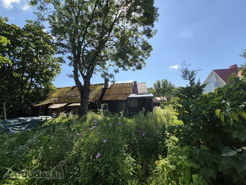 Vilniaus Miesto Savivaldybė Viešo Aukciono