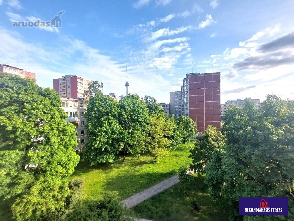 Šviesa, jaukumas ir miesto pulsas –