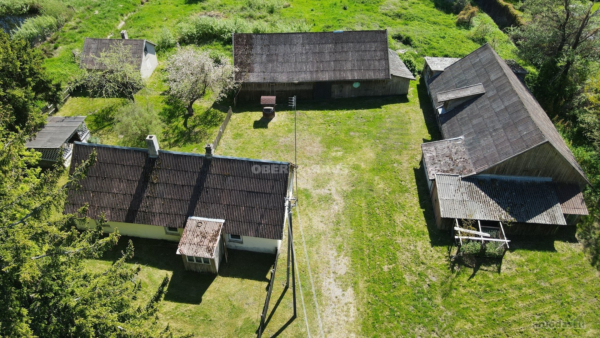 Išskirtinė Vieta Medžių Apsuptyje, 450 m Iki