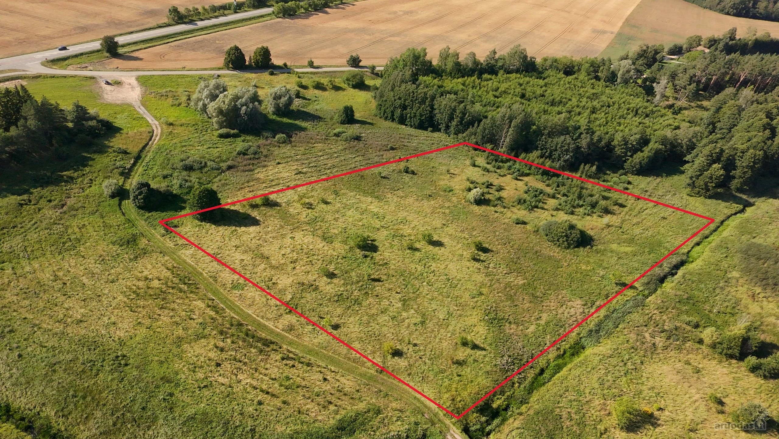 Parduodamas 1,35 Ha Žemės Ūkio Paskirties