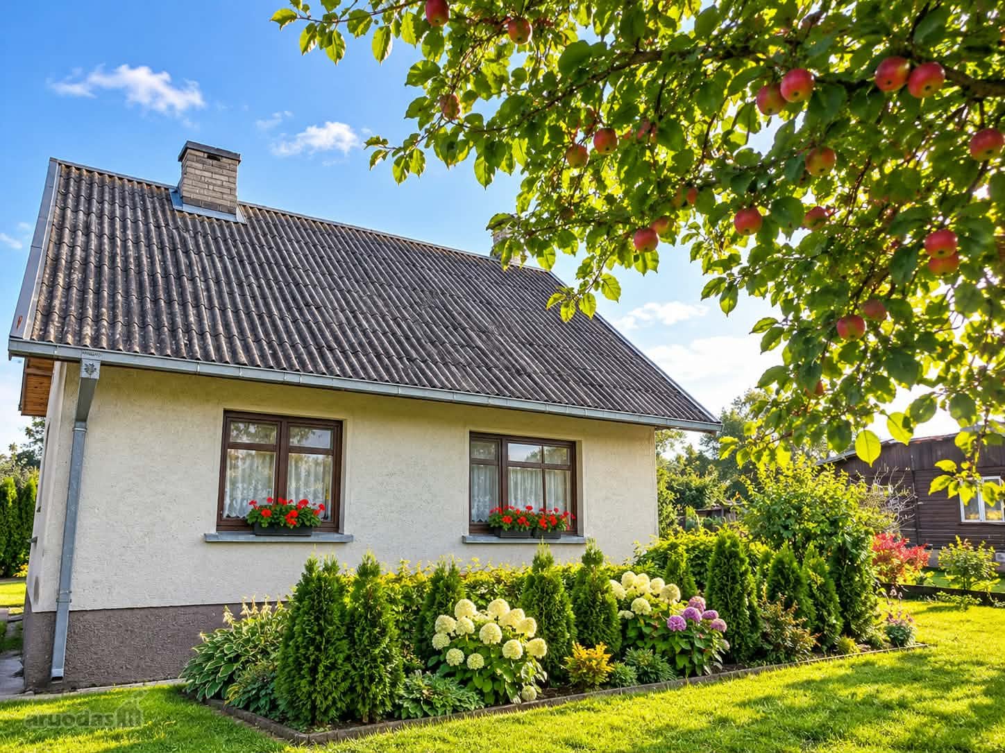 Parduodamas Sodo Namas Šiaulių Rajone,