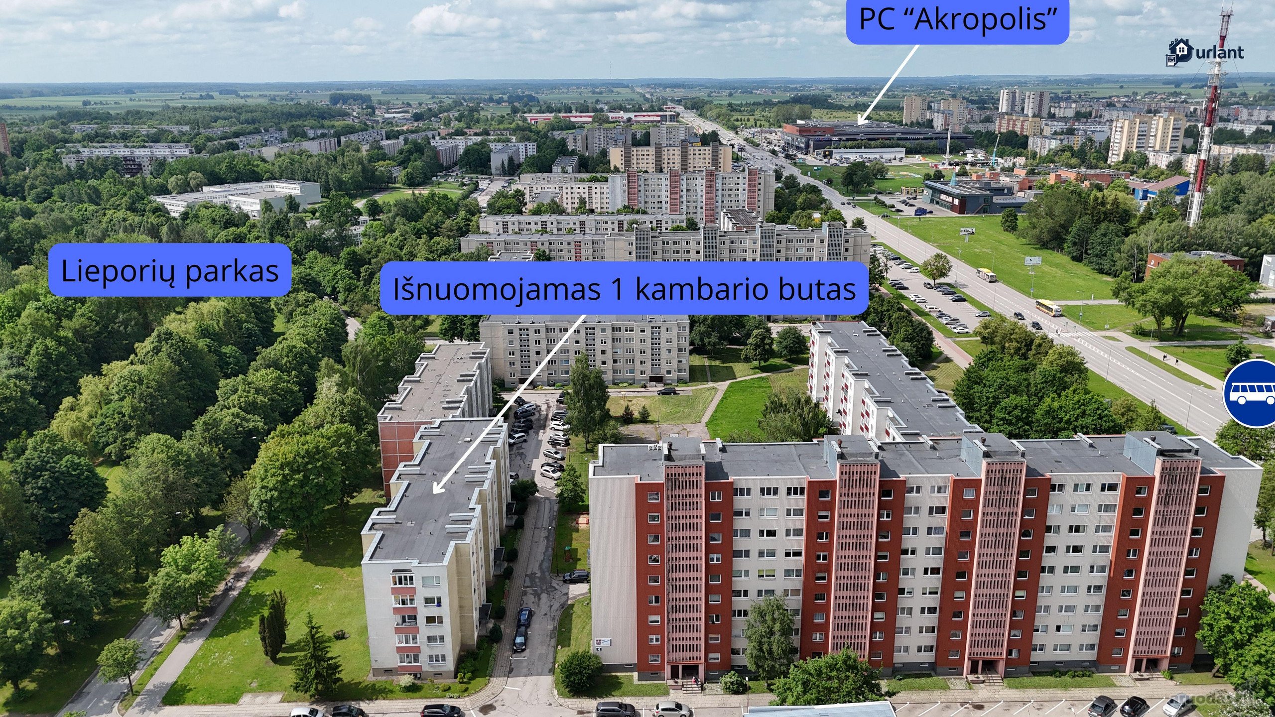 Išnuomuojamas 1 Kambarių Butas, Pietiniame