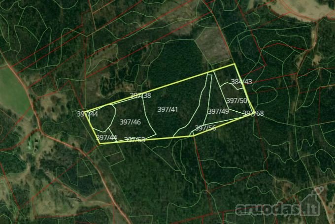 Parduodamas 10 ha ploto miškas Molėtų raj.