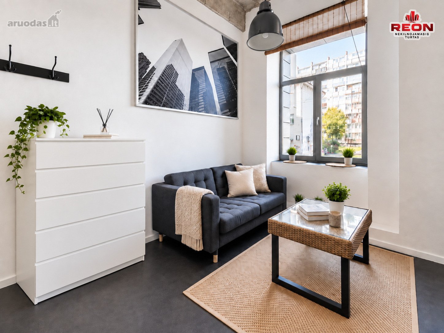 Nuomojamas Erdvus Loftas Naujamiestyje!