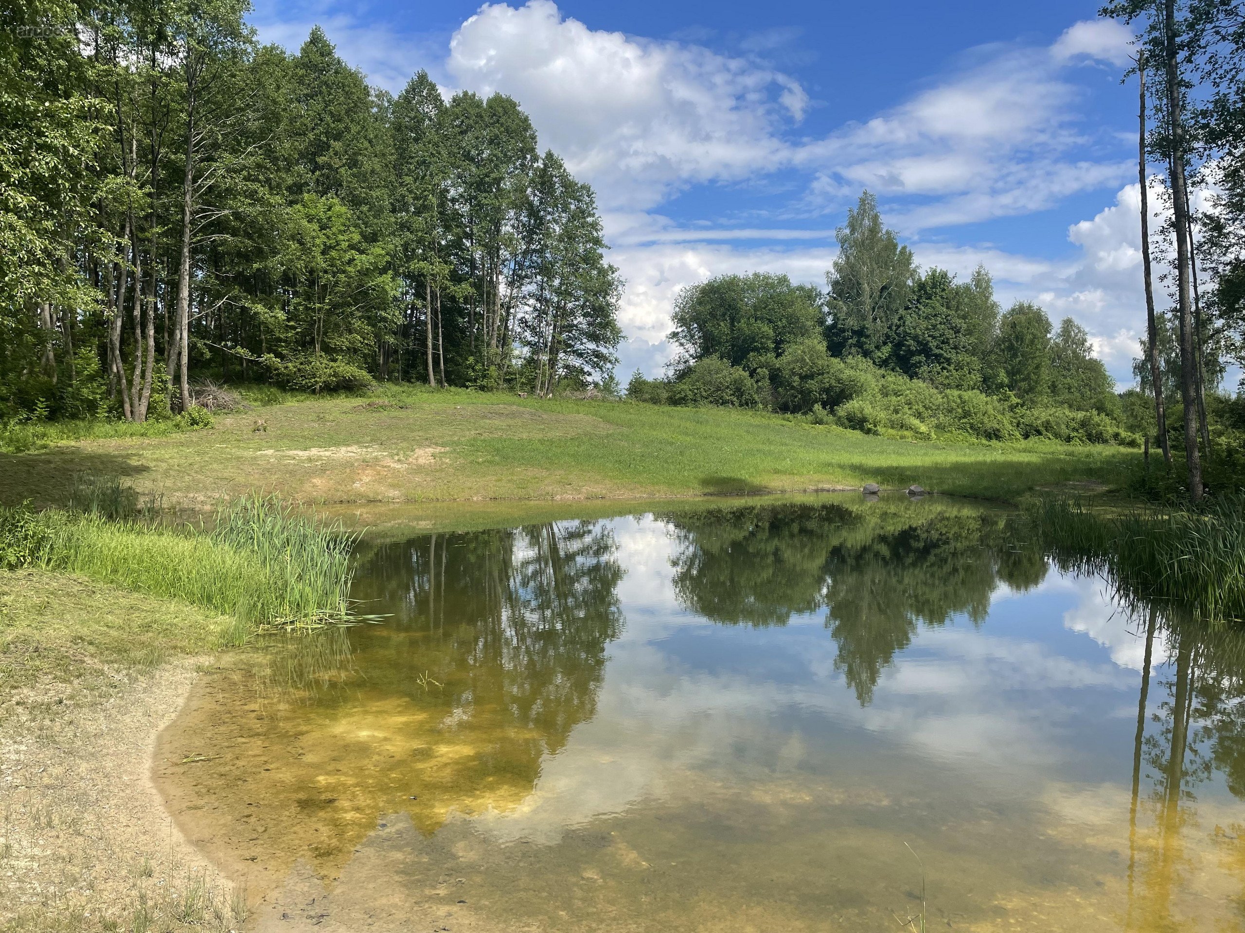 Parduodamas išskirtinis net 170 arų (1,7 ha)