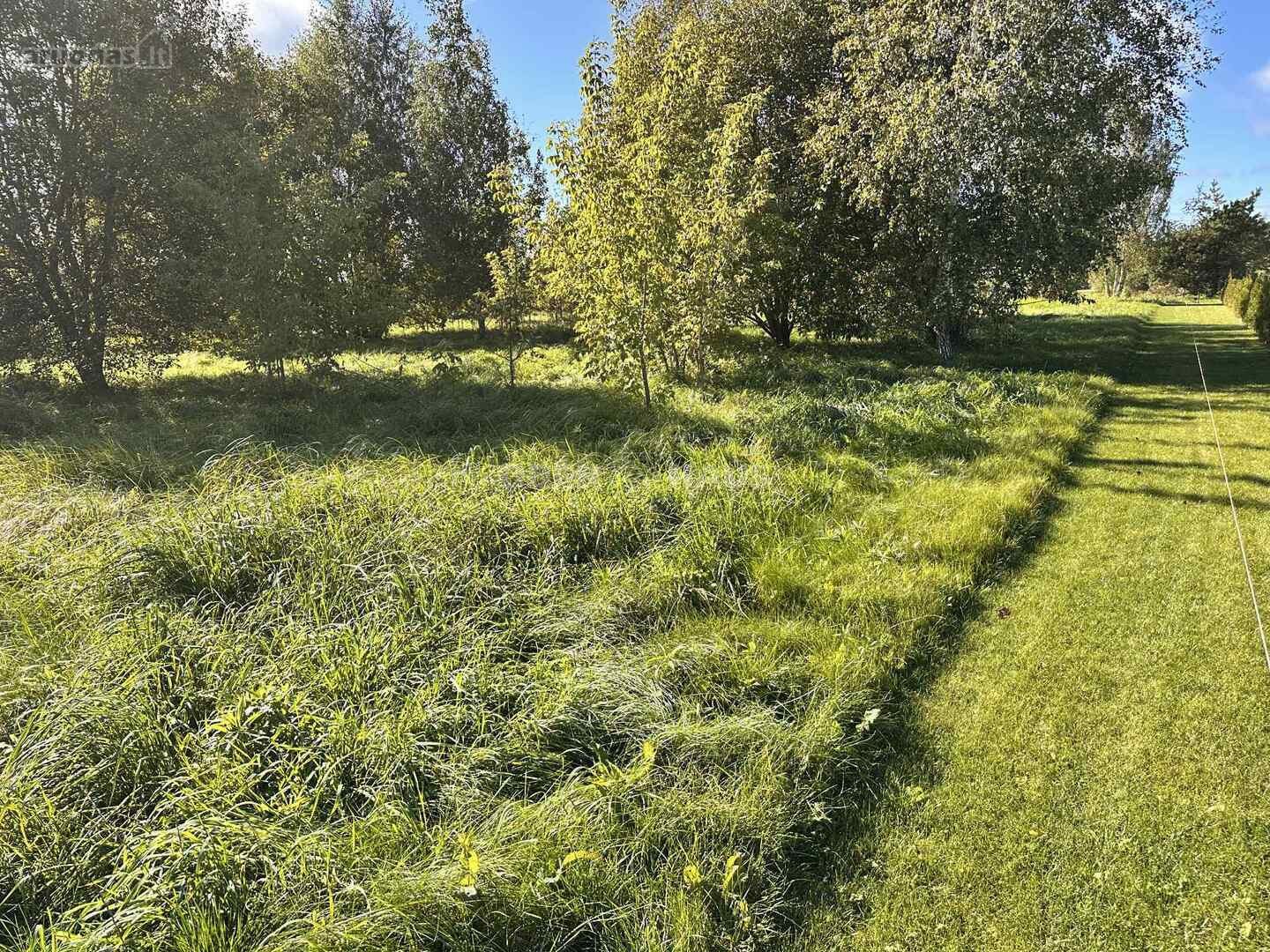 Parduodamas 20 arų sklypas, esantis Rokiškio
