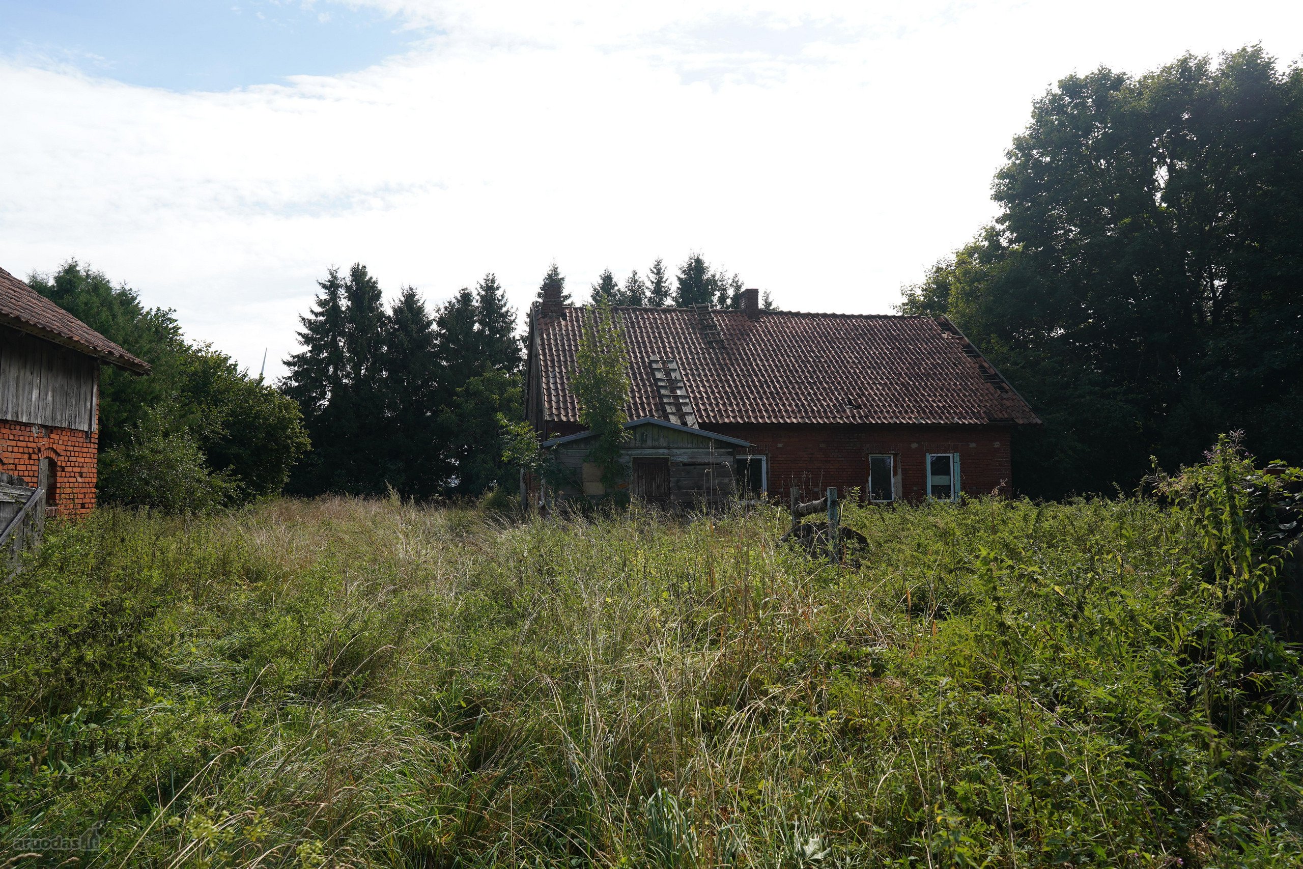 Šilutės rajone, Lankupių kaime, Žolynų g.