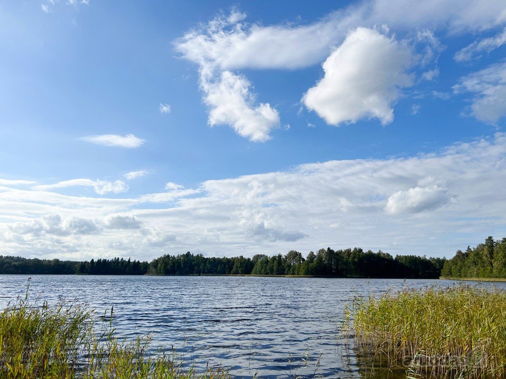 Viskas Viename Sklypų Masyve: Ežero Pakrantė,