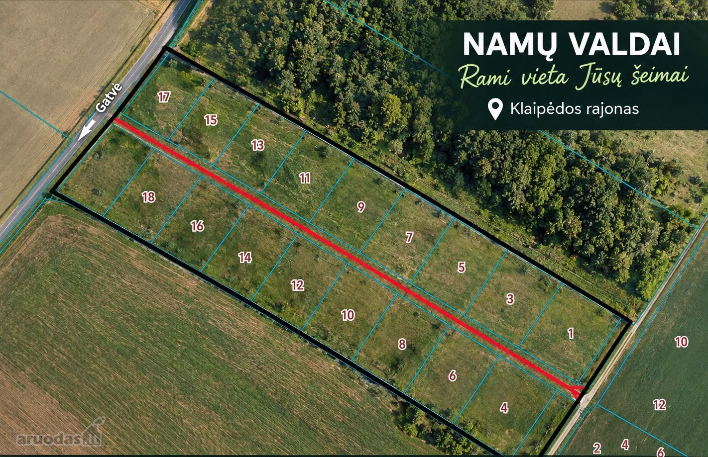 Investicinė Galimybė Leliuose – 2,55 Ha