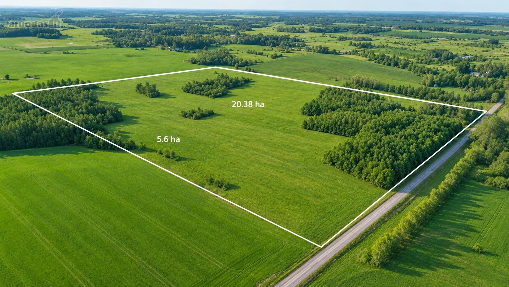 25,9855 Ha Žemės Ir Sodyba Už 135 000 €–