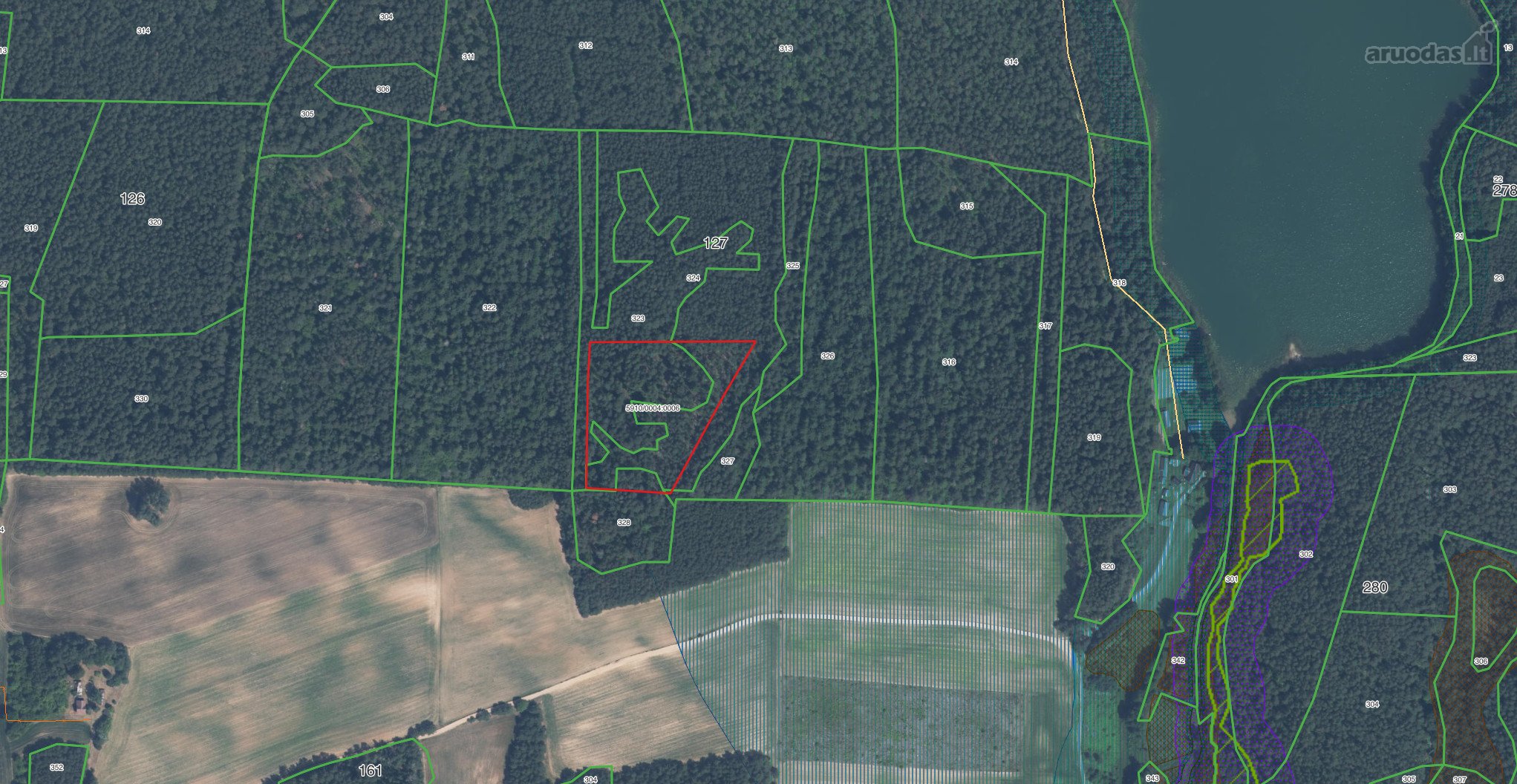 Parduodamas 1.3400 ha ploto pušynas Lazdijų r. 