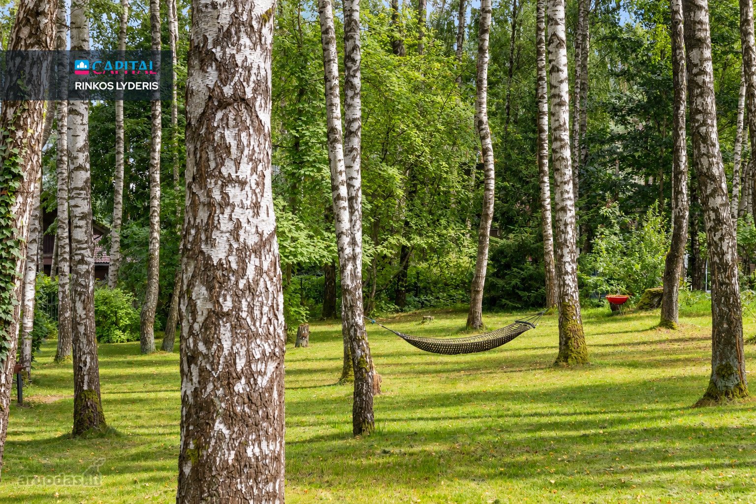 10,35 arų sklypas + 354 m² plotas. Fizikų g. 5a.