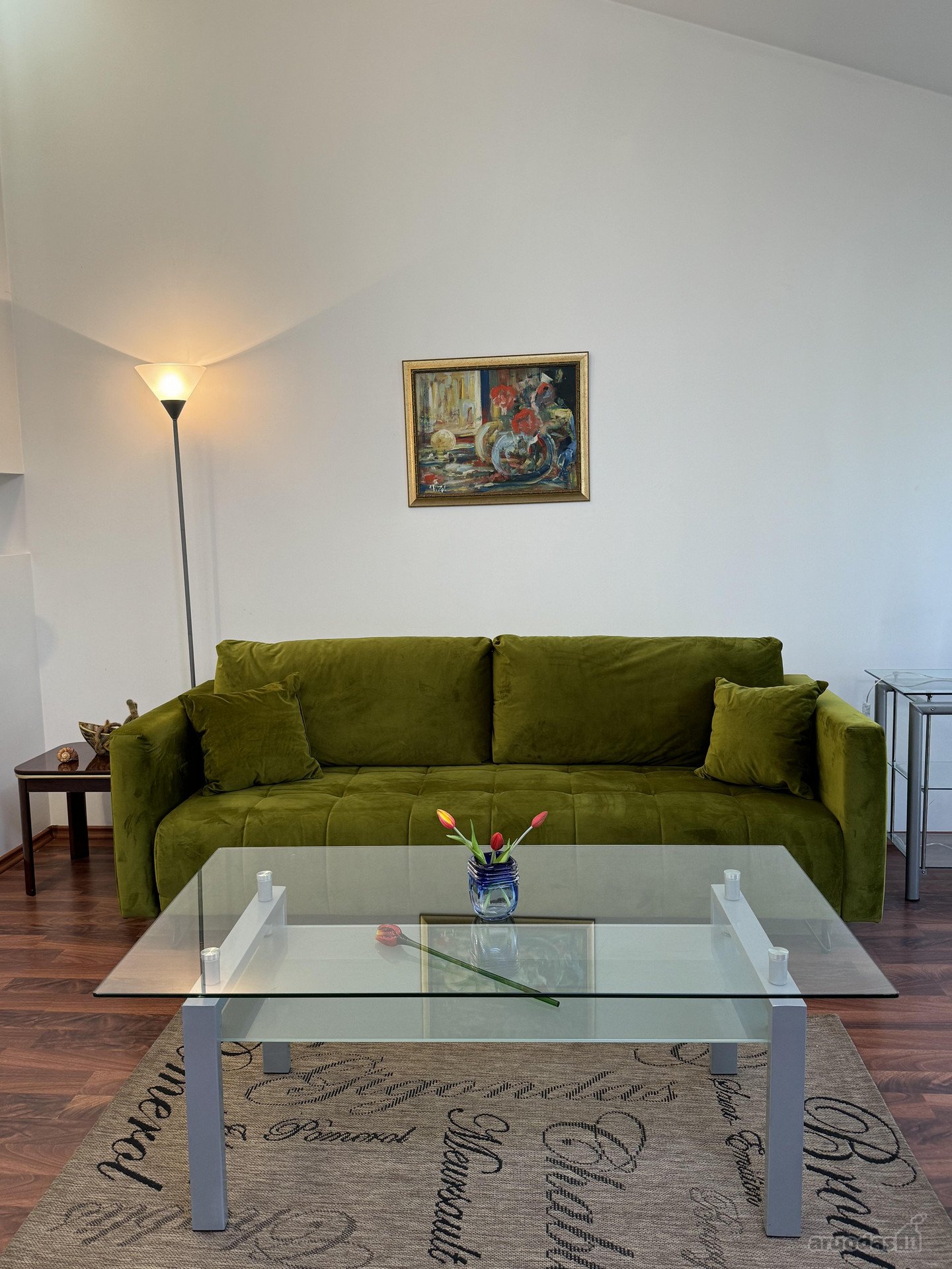 Išskirtinė studija Vilniaus centre: terasa,