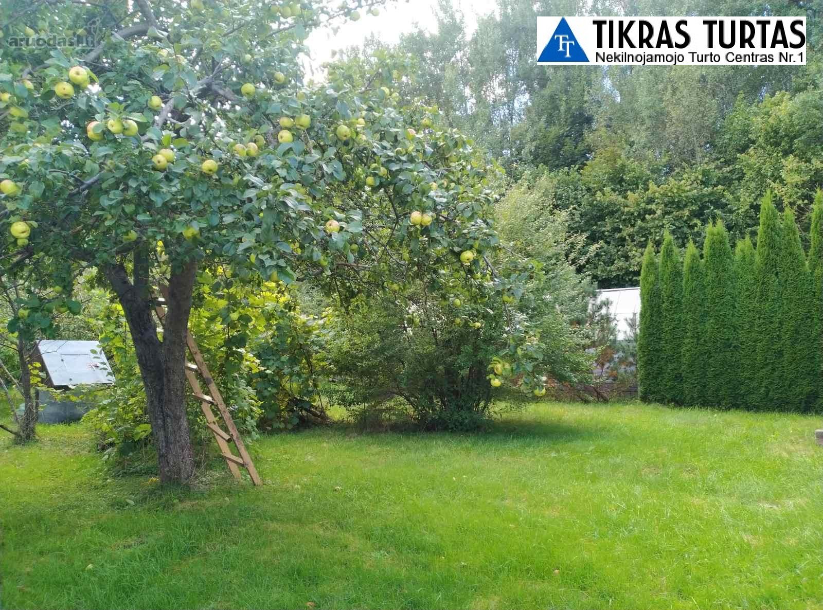 Parduodamas vaizdingas sodo sklypas 6,5 aro S