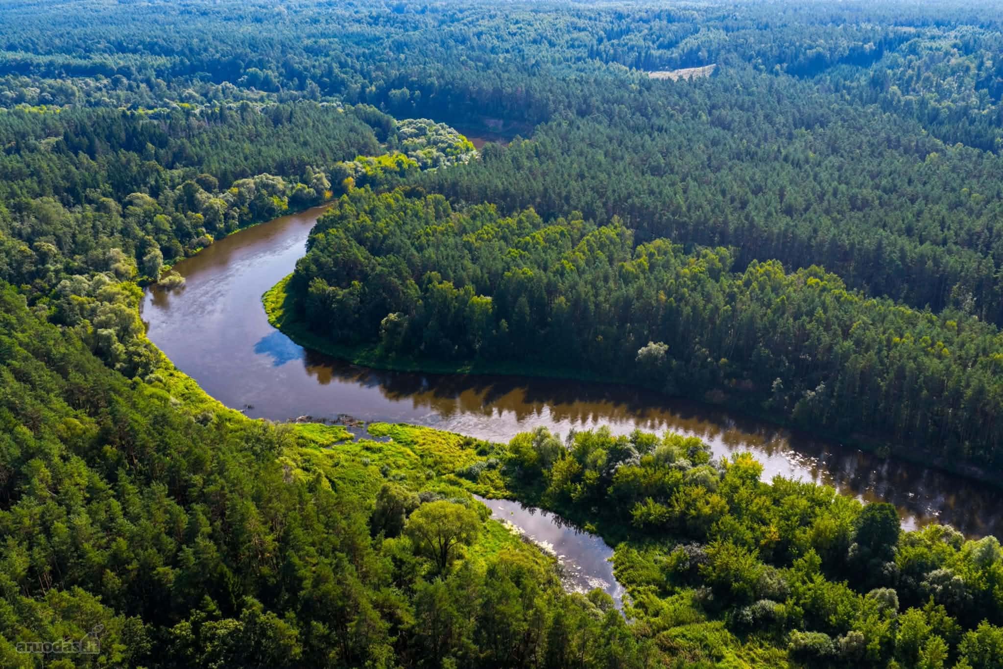 Parduodamas 12 Arų Sodo Sklypas Gamtos