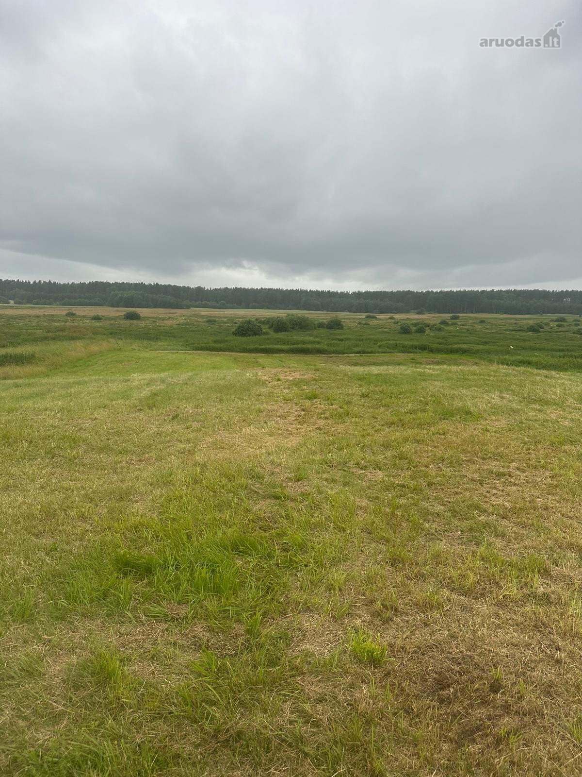 Parduodamas 22 A Namų Valdos Sklypas