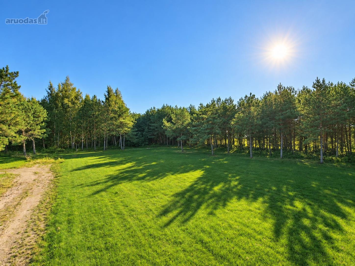 Namų Valdos Sklypai Pamiškėje, Brandžių Pušų