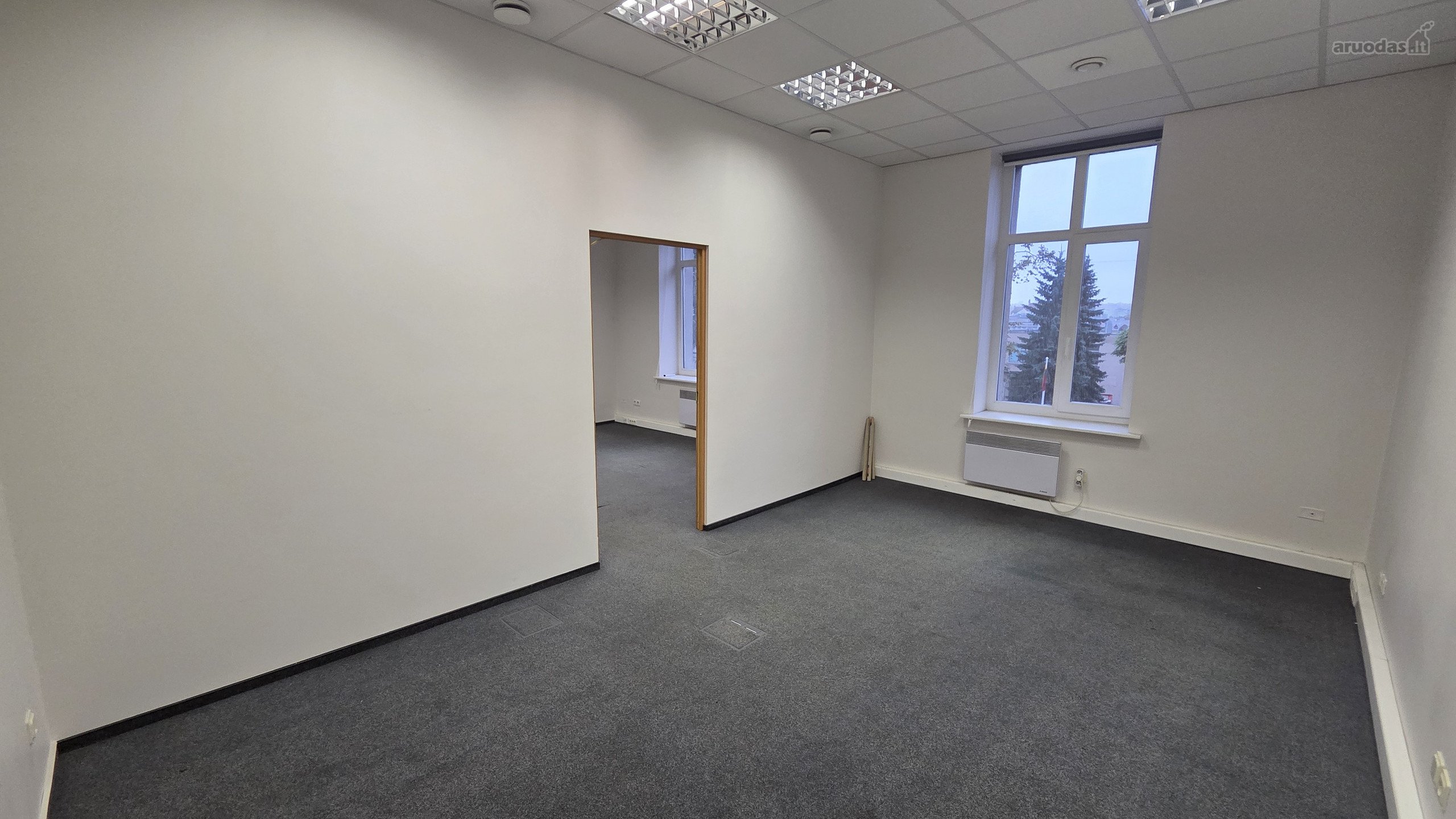 Lanksčios Nuomos Sąlygos: