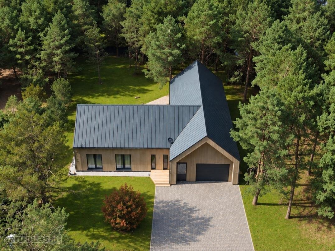 Išskirtinis Skandinaviško Stiliaus Namas Pušų