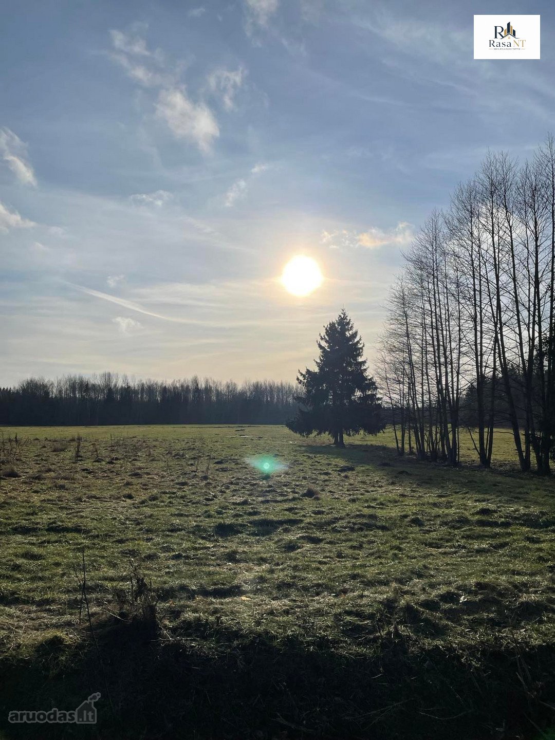 Parduodamas 2,66ha žemės ūkio paskirties