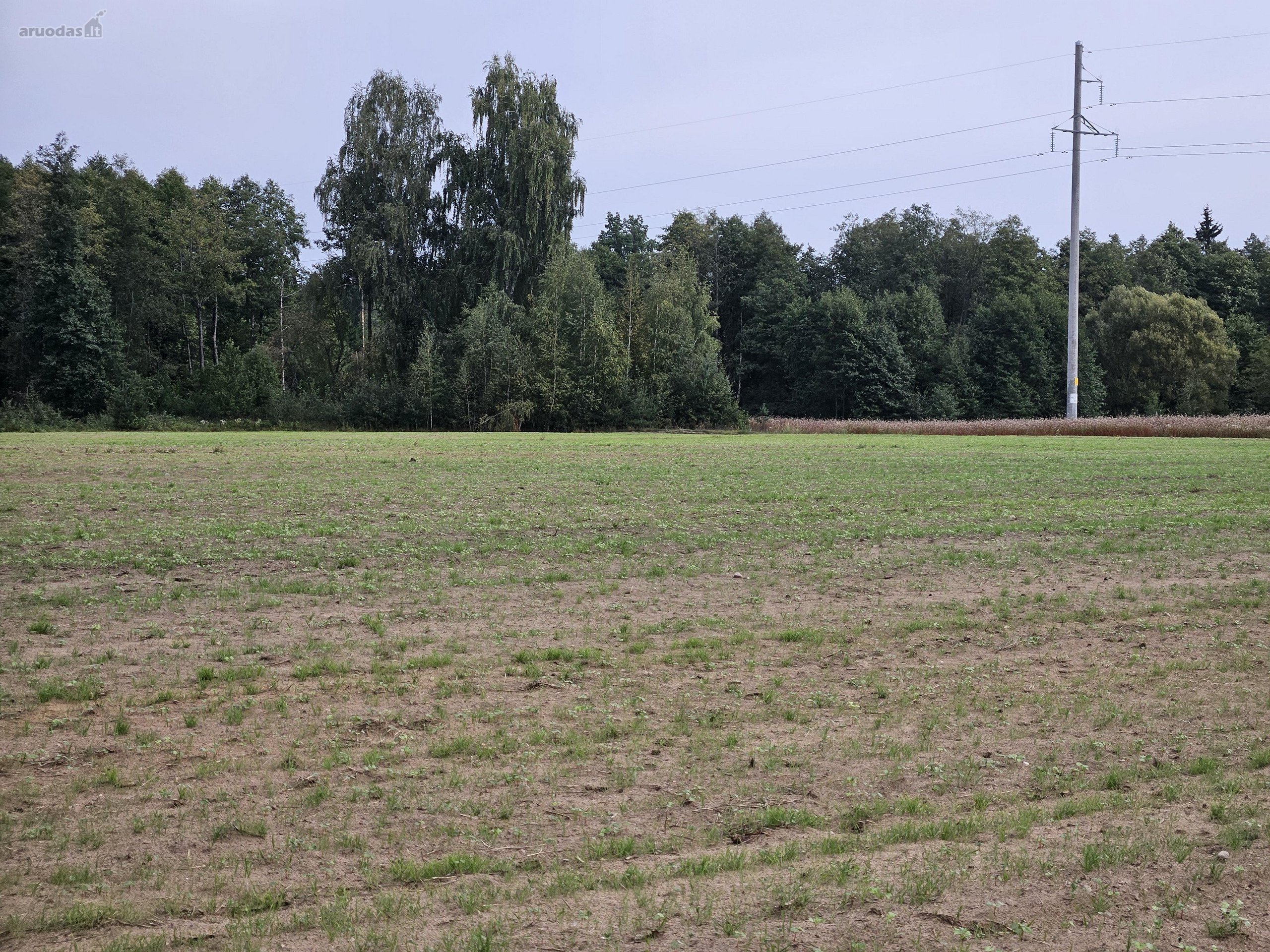 Parduodamas 1,00 hektaro žemės ūkio