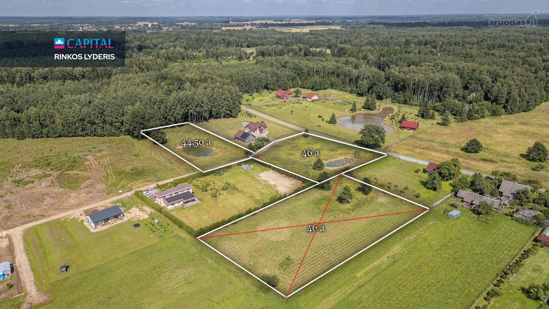 Širvintų r. sav., Dailidžionių k. parduodami