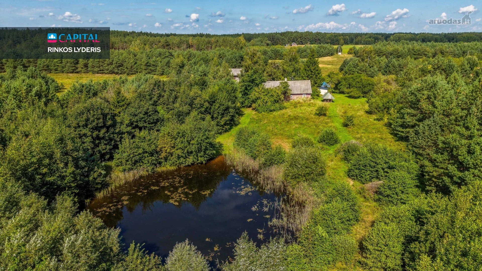 Unikalioje Vietoje, Apsuptoje Miškų Ir