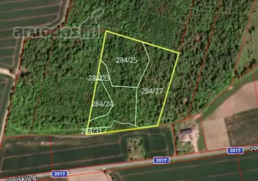 Parduodamas 4,54 ha ploto miškas Kėdainių raj.