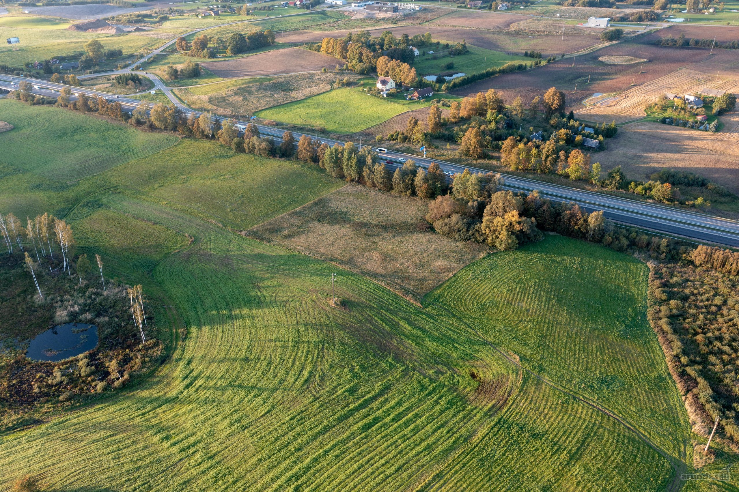 Dabartinė