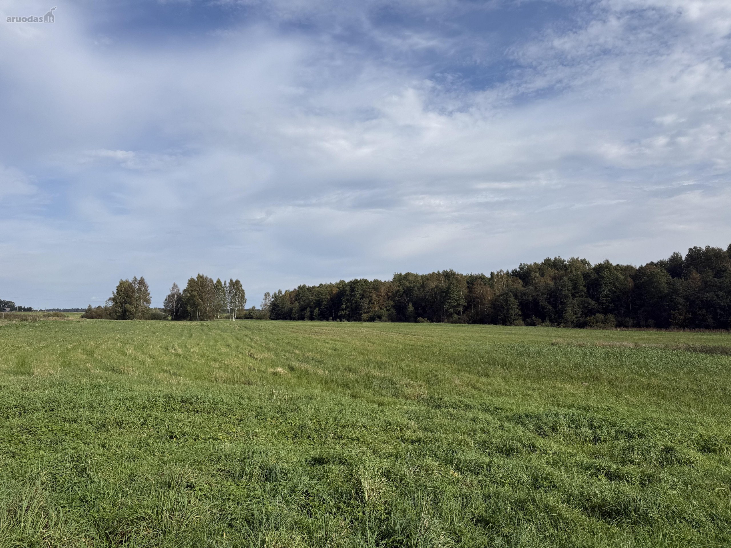 Parduodamas 4,10ha žemės ūkio paskirties