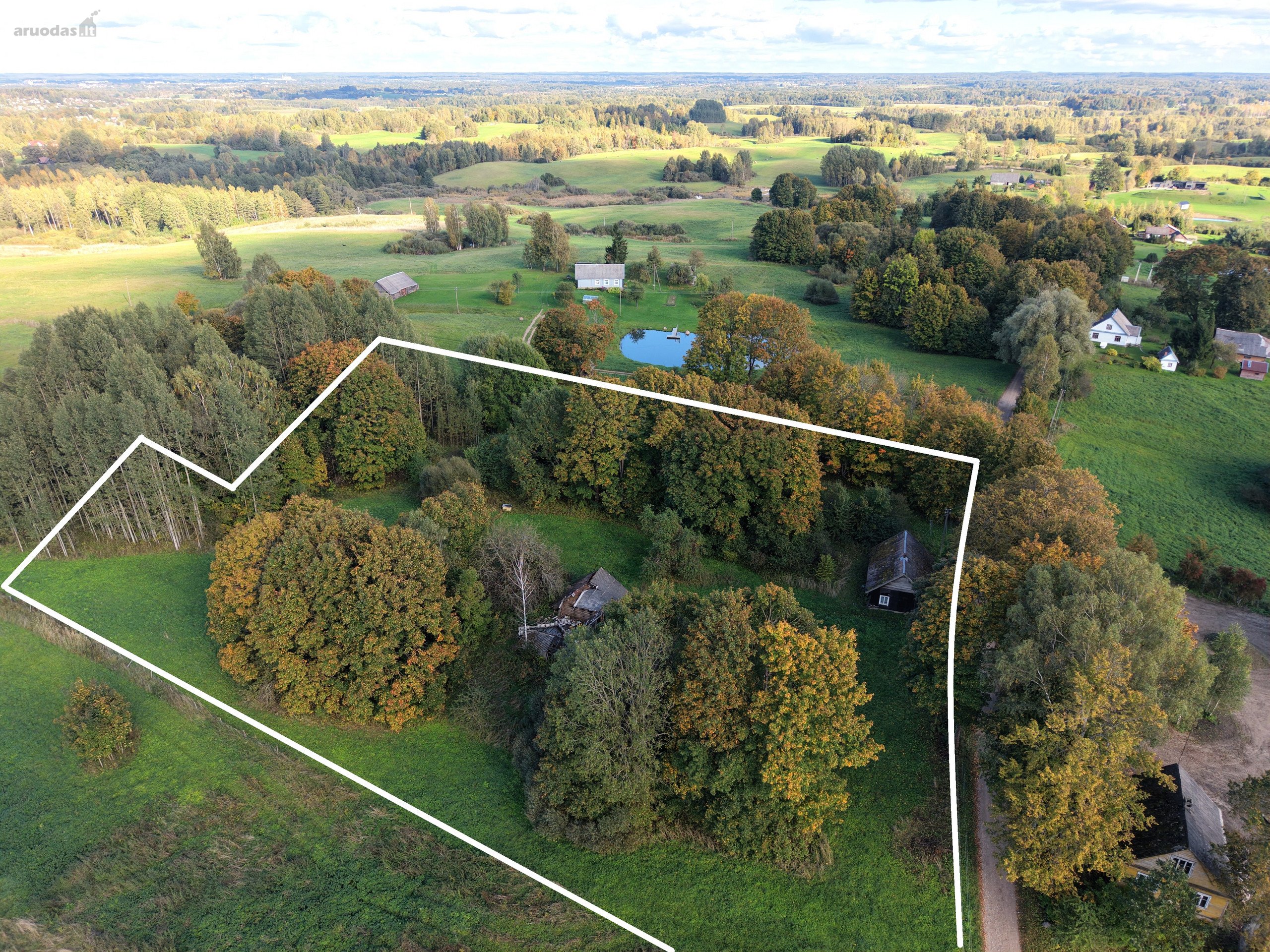 Parduodama sodyba Viskėnų kaime, apie 10 km