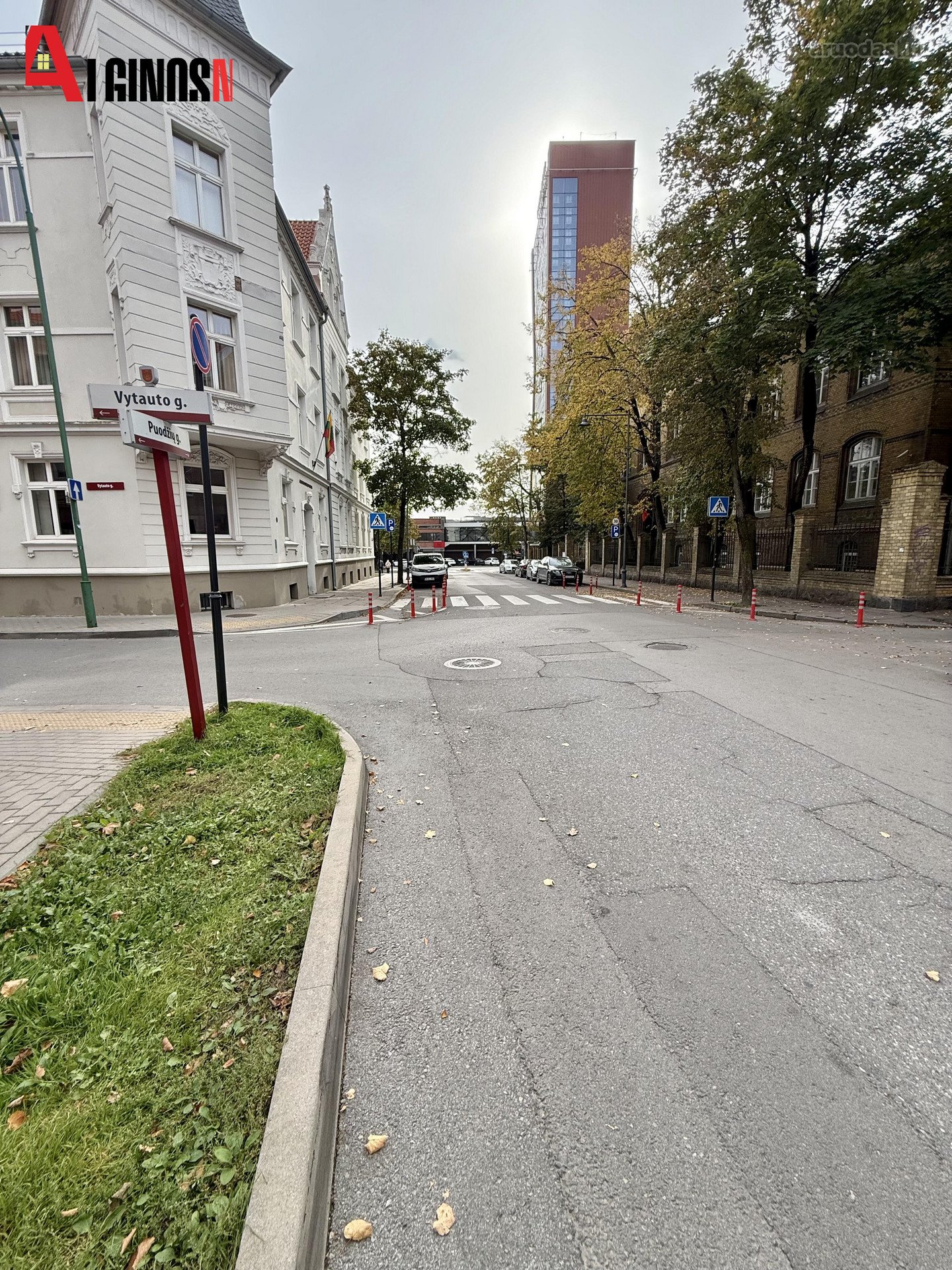 Klaipėdoje, Vytautog. ilgalaikei nuomai